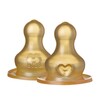 BIBS nappflaska dinapp 2-pack slow flow