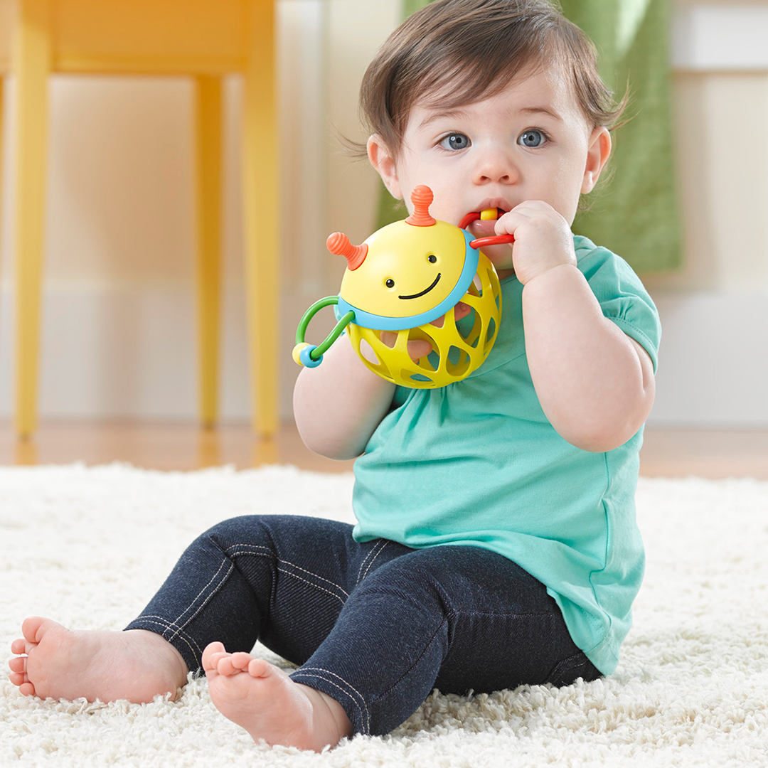 Skip Hop Explore&More Rullskallra Bi